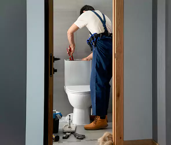 Professional Plumbers for Toilet Bowl Replacement in Chapel Hill, NC: Schedule Affordable Toilet Replacement Services With Us
