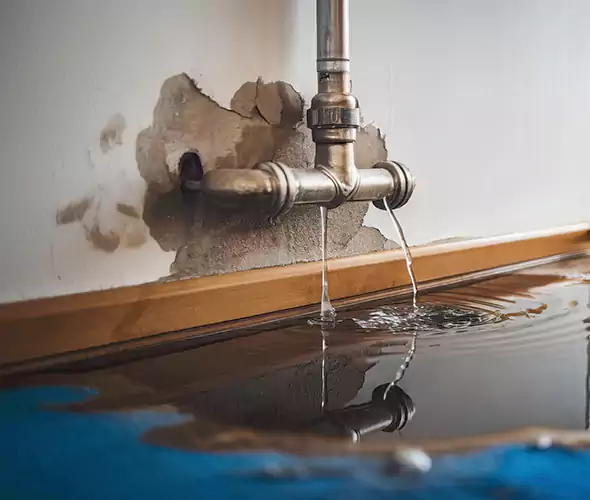 Professional Water Damage Restoration Experts in Chapel Hill, NC — Fast, Reliable & Certified
